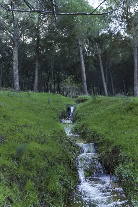 Framed Print : Ronda, malaga, spain Forest stream flowing quickly downhill