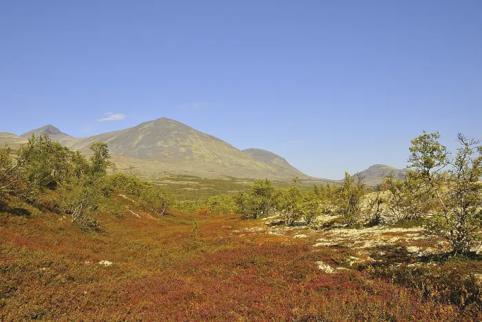 Framed Print : Rondane Framed Print : Rondane