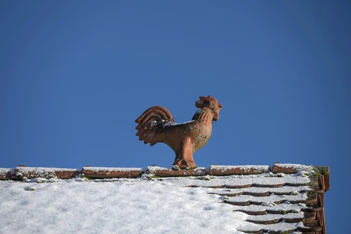 Framed Print : Rooster as a roof rider, blue sky