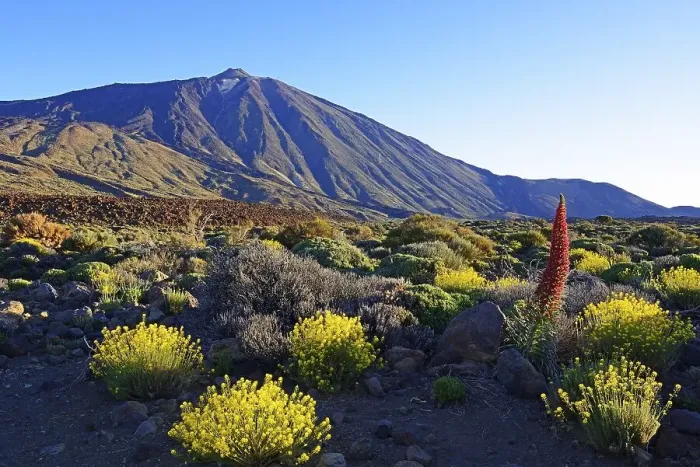 Framed Print : Roques de Garcia, Mount Teide, Las Canadas Framed Print : Roques de Garcia, Mount Teide, Las Canadas