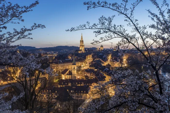 Framed Print : Rose Garden, Bern, historic old town