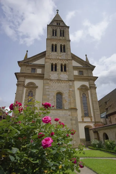 Framed Print : Roses in bloom in the cloister of Comburg Castle Framed Print : Roses in bloom in the cloister of Comburg Castle
