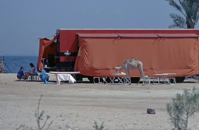 Framed Print : Rotel Tours coach on the beach, camel eating from the table, Nuweiba, Sinai Peninsula, Egypt, September 1989, vintage, retro, old, historical, Africa