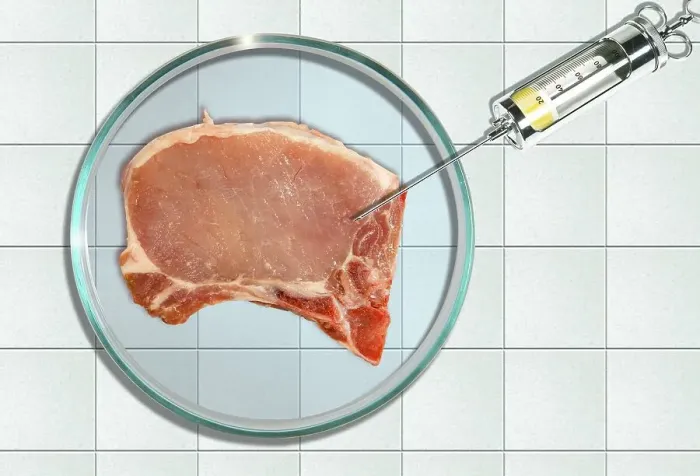 Framed Print : Rotten meat in a petri dish