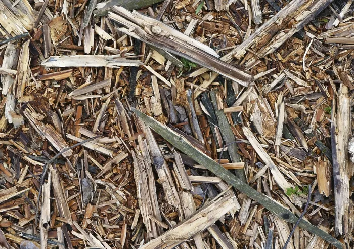 Framed Print : Rough pieces of forest pine rotten bark and wood background closeup