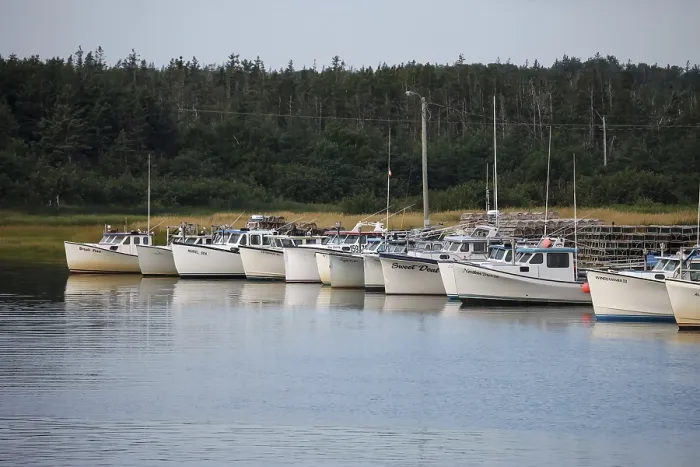 Framed Print : Row of boats docked in a tranquil harbor with forest in the background in rural Prince Edward Island Framed Print : Row of boats docked in a tranquil harbor with forest in the background in rural Prince Edward Island