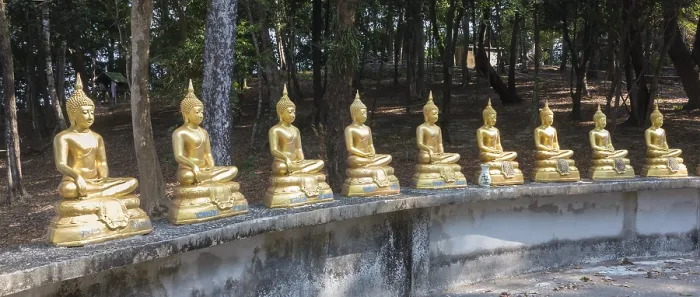 Framed Print : Row of Buddha statues at wat Ko Phayam temple