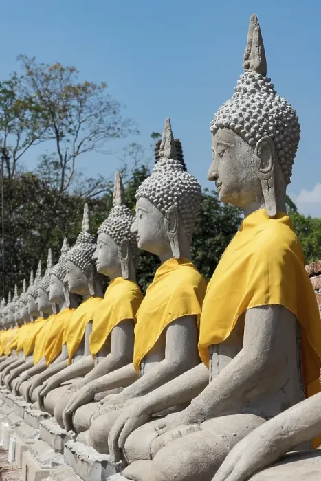 Framed Print : Row of Buddha statues, Wat Yai Chai Mongkhon