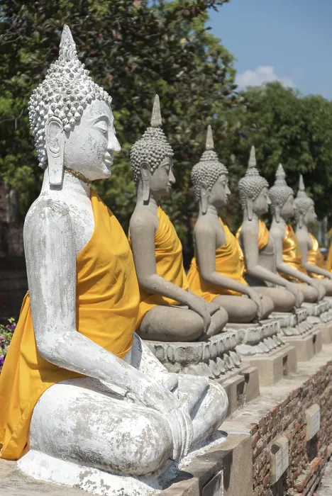 Framed Print : Row of Buddha statues, Wat Yai Chai Mongkhon