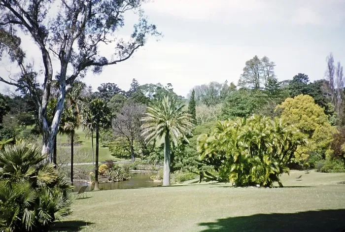 Framed Print : Royal Botanic Gardens Victoria, Melbourne, Victoria, Australia, 1956, Oceania