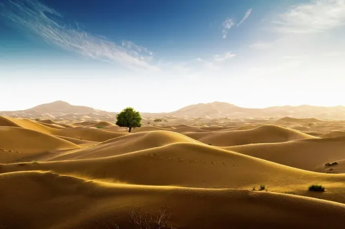 Framed Print : Rub al Khali desert on the border of Oman and the Emirate of Dubai, Middle East, Southwest Asia Framed Print : Rub al Khali desert on the border of Oman and the Emirate of Dubai, Middle East, Southwest Asia