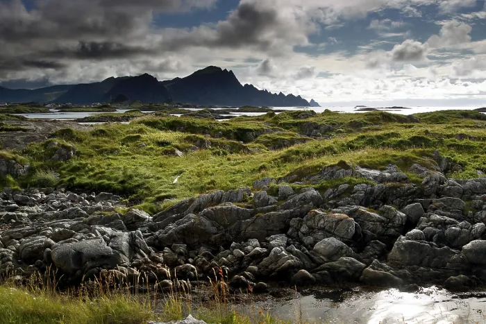 Framed Print : Rugged coastal area with green grassy areas and dramatic skies in Andenes Framed Print : Rugged coastal area with green grassy areas and dramatic skies in Andenes