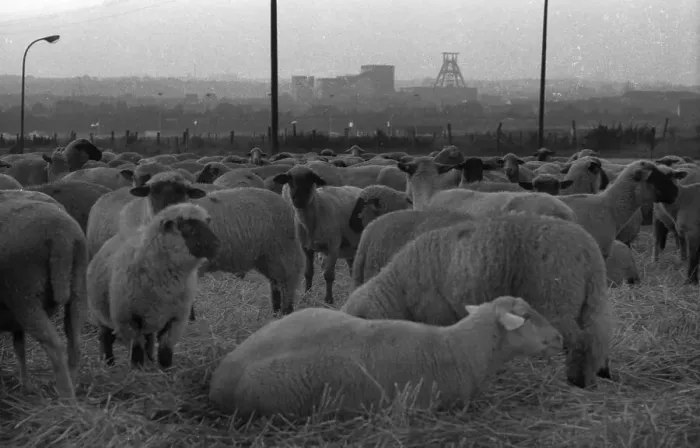 Framed Print : The Ruhr area with photographic impressions in the years from 1965 to 1970