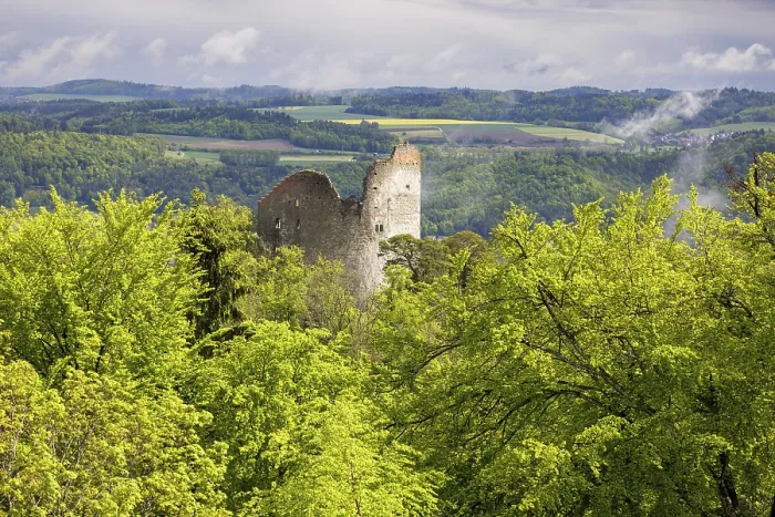 Framed Print : Ruined castle embedded in lush green vegetation under a cloudy sky