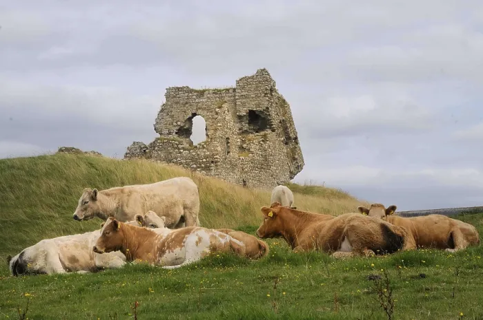 Framed Print : Ruins of a Norman castle at Clonmacnoise Framed Print : Ruins of a Norman castle at Clonmacnoise