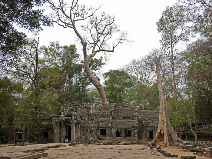 Framed Print : Ruins at Ta Prohm Temple, Siem Reap Province