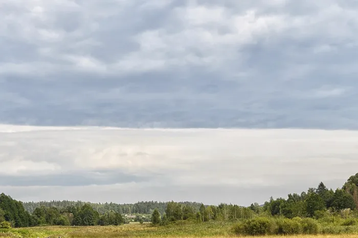 Framed Print : Rural landscape on a cloudy gray sky background with trees on the horizon Framed Print : Rural landscape on a cloudy gray sky background with trees on the horizon