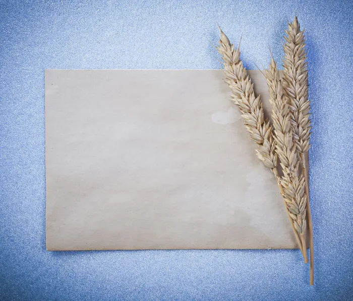 Framed Print : Rye ears vintage blank paper sheet on blue background directly above Framed Print : Rye ears vintage blank paper sheet on blue background directly above
