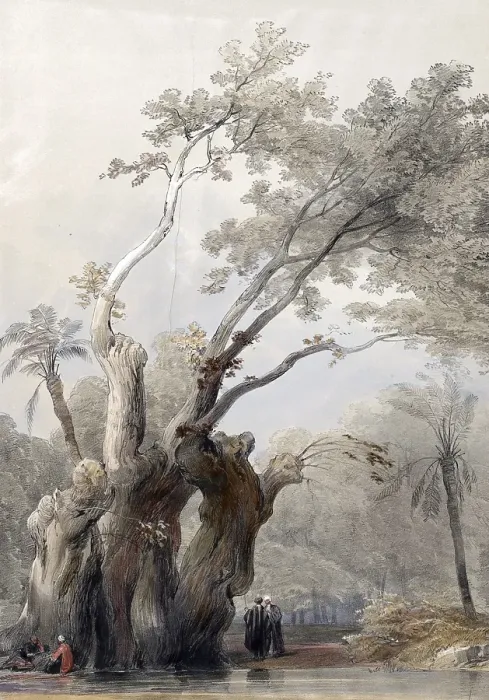 Framed Print : The Sacred Tree of Metereah, Egypt, c. 1850, Historical, digitally restored reproduction from a 19th century original, exact date unknown, AI generated, Africa