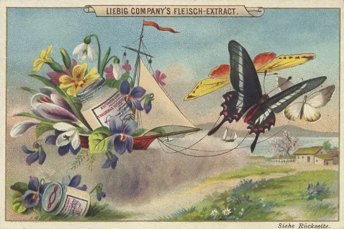 Framed Print : Sailing ship with spring flowers and butterflies Framed Print : Sailing ship with spring flowers and butterflies