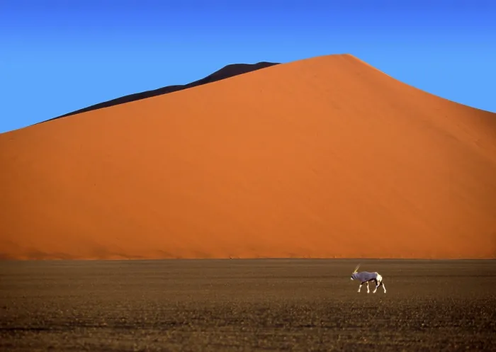 Framed Print : Sand dune, dune, dunes, desert