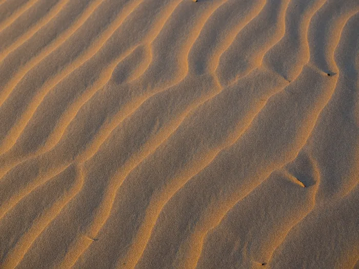 Framed Print : Sand dunes, evening light, patterns Framed Print : Sand dunes, evening light, patterns