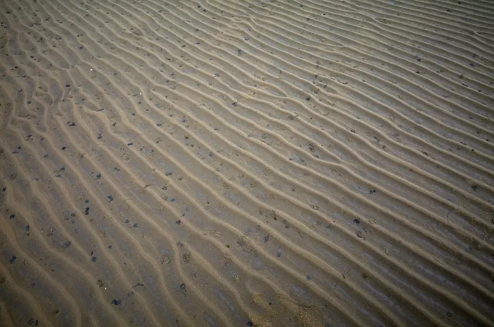 Framed Print : Sand ripples, wavy lines in the sand
