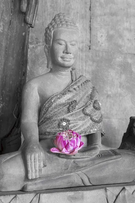 Framed Print : Sandstone Buddha statue, (Bhumispara mudra: Buddha Gautama at the moment of enlightenment) Framed Print : Sandstone Buddha statue, (Bhumispara mudra: Buddha Gautama at the moment of enlightenment)
