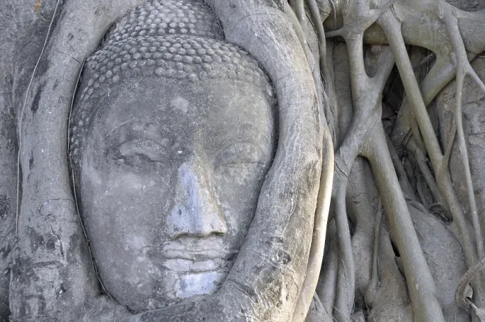 Framed Print : Sandstone head of a Buddha statue