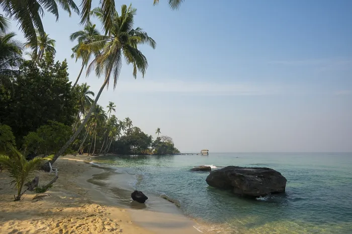 Framed Print : Sandy beach beach with coconut palms