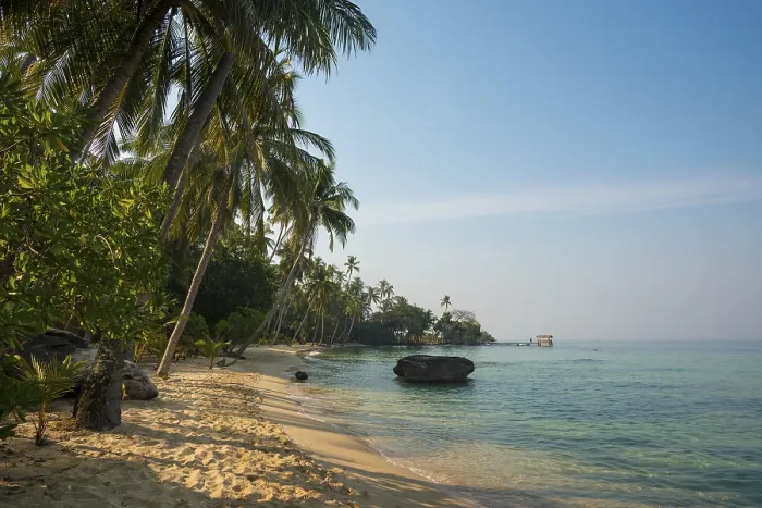 Framed Print : Sandy beach beach with coconut palms