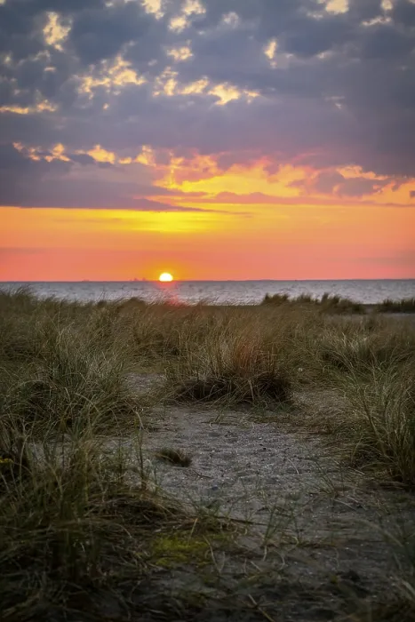 Framed Print : Sandy beach beach with dune grass Framed Print : Sandy beach beach with dune grass
