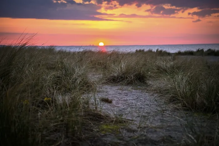 Framed Print : Sandy beach beach with dune grass Framed Print : Sandy beach beach with dune grass