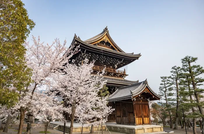 Framed Print : Sanmon Gate and blooming cherry trees
