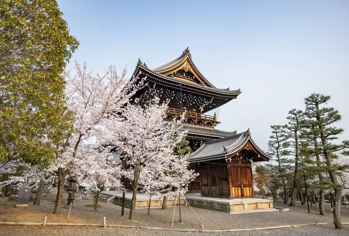 Framed Print : Sanmon Gate and blooming cherry trees Framed Print : Sanmon Gate and blooming cherry trees