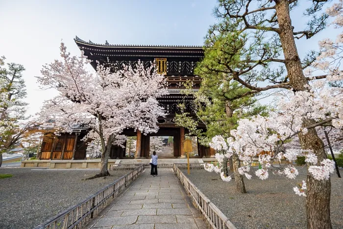 Framed Print : Sanmon Gate and blooming cherry trees
