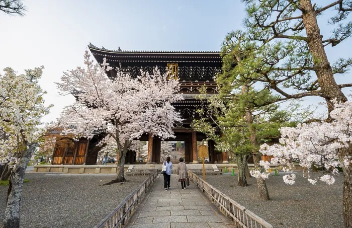 Framed Print : Sanmon Gate and blooming cherry trees
