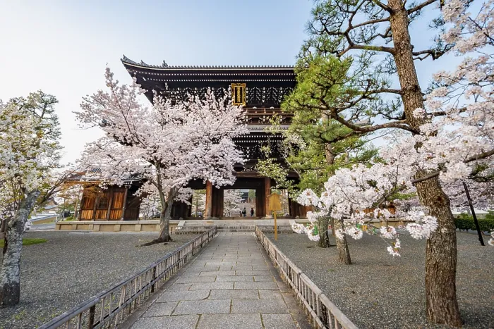 Framed Print : Sanmon Gate and blooming cherry trees Framed Print : Sanmon Gate and blooming cherry trees
