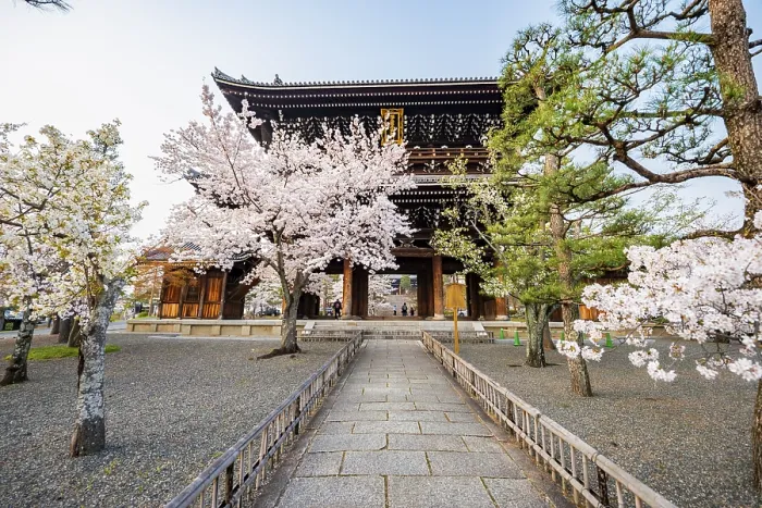 Framed Print : Sanmon Gate and blooming cherry trees Framed Print : Sanmon Gate and blooming cherry trees