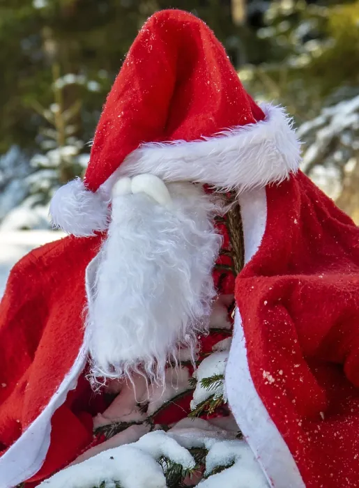 Framed Print : The Santa Claus costume with beards hangs on the spruce in the winter forest