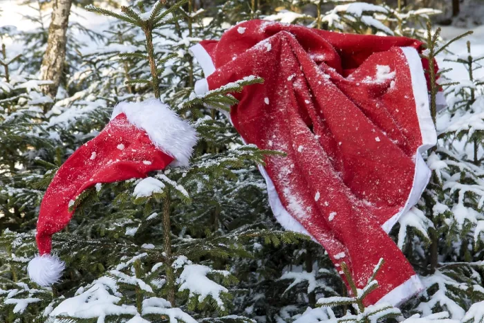 Framed Print : The Santa Claus costume hangs on the spruce in the winter forest