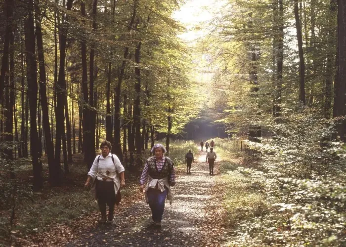 Framed Print : Sauerland. Autumn forest with walkers. 10 / 1988