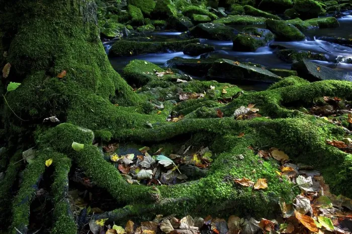 Framed Print : Sausbachklamm gorge, Bavarian Forest