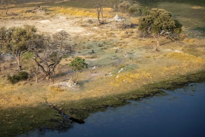 Framed Print : Savanna with yellow grass and river