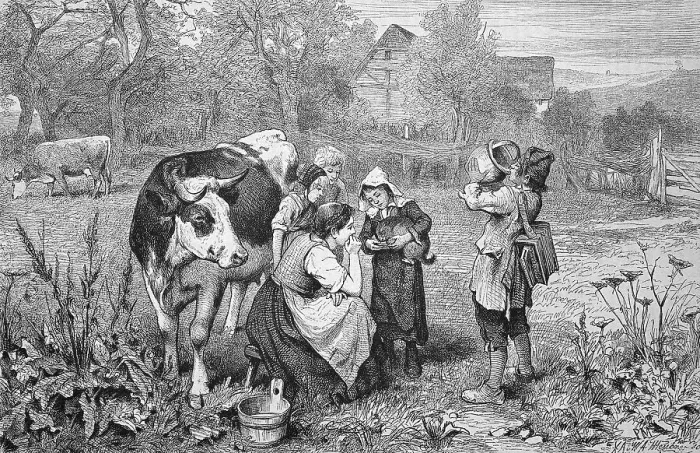 Framed Print : Savoyards children with a cow, Savoy