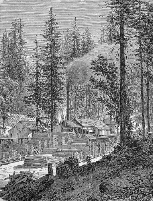 Framed Print : Sawmill in California, America, around 1890