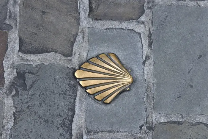 Framed Print : Scallop shell as a sign for the pilgrimage route /  Way of St