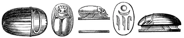 Framed Print : Scarabs or lucky beetles, used as lucky charms, jewellery and burial objects since antiquity, especially in Egypt, archaeological finds, history of mankind, historical illustration 1880