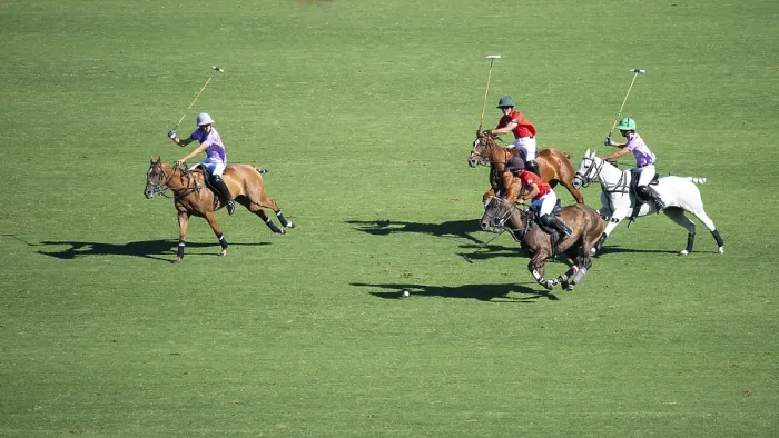 Framed Print : Scene at the 132nd Argentinean Open Polo Championship (Spanish 132nd Abierto Argentino de Polo de Palermo)