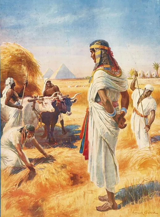 Framed Print : Scene from the biblical story, the rich harvest in Egypt